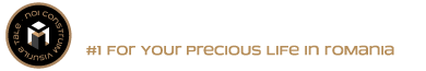 logo-Maurer-Imobiliare-lung
